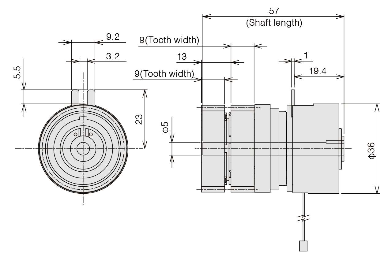 Structure & external form dimensions  RDS