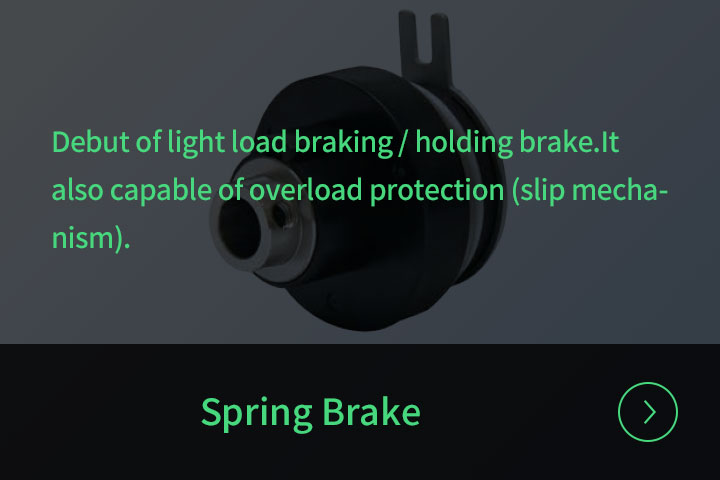 Spring Brake